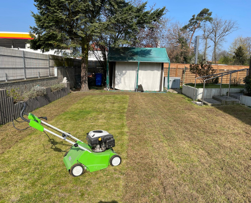 Gartenarbeiten, Rasen vertikulieren